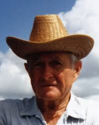 Memories of Swimming and Rope Swinging in Myakka River near Venice, Florida