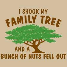 I Shook My Family Tree And A Bunch Of Nuts Fell Out Too Cute Family Tree Quotes Family Tree Family Reunion Shirts
