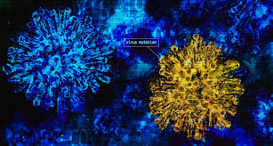 Cdc confirmed reports are only during the work. Cdc Neue Variante Wird Sich Bis Marz In Den Usa Durchsetzen