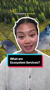 Ecosystem services are the free benefits nature gives us like clean air,  fresh water, pollination and flood control! Protecting nature means  protecting our health our food and our future Learn why ...