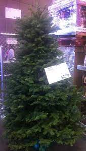 Check spelling or type a new query. Costco Christmas Trees Costco Insider