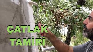 Kartonpiyer çatlağı genelde tavana ve duvara yapışma noktalarından çatlar veya iki kartonpiyer birleşim yerinden çatlar bu çatlakların tamiratı da saten alçı ile yapılabilir birleşim yelerini de önce açıp sonra tamir yapılmalıdır bu çatlağı önler. Catlak Tamiri Siva Betopan Zemin Ve Koselere Youtube