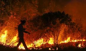 Cams menyebut kebakaran hutan di indonesia beberapa waktu lalu lebih besar 22 persen dari kebakaran di amazon. Di Indonesia Tangkap Pelaku Kebakaran Hutan Umpama Menangkap Asap