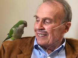 Missing Quaker Parrot in Pinellas Park, FL