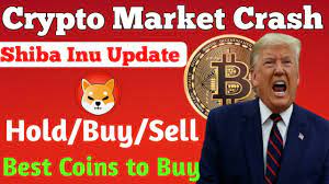 These included binance, wazirx (owned by binance), voyager and coinbase, among others. Crypto Market Crash Hindi Finansbis