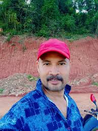 Football team preferences and FIFA