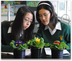 The ability to use energy from sunlight Genetic Information Is Found In All Living Things