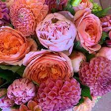 Flower shops in newport beach are newport florist, flowers de monet, conroy's flowers and more. Moss Flowers Garden