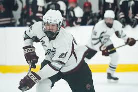 Photos: Orchard Park boys hockey beats Lancaster, 8-1