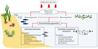 Eparticipation page of eparticipation services for citizen. Water Free Full Text A Review Of Current And Emerging Approaches For Water Pollution Monitoring Html