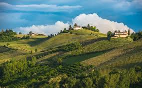 Tripadvisor has 2,346,015 reviews of piedmont hotels, attractions, and restaurants making it your best piedmont resource. The Mofo Guide To Piemonte Italian Wine Regions Vinofiles Vinomofo Australia