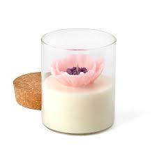 Poppy Terrarium White Tea Jasmine Terrarium Candle Terrarium Candle Candles Homemade Scented Candles