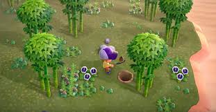 Mar 20, 2020 · animal crossing: How To Get Bamboo Trees Animal Crossing New Horizons