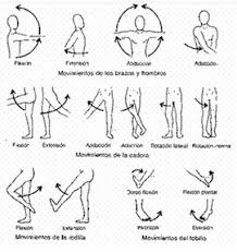 ♥ ♥ leeme / despliegame ♥ ♥ estiramientos para antes y después del ejerciciopodéis realizar estos ejercicios de estiramientos antes y después de hacer ejerci. Seleccion De Ejercicios De Estiramiento Para La Seleccion Masculina Juvenil De Voleibol Del Guayas
