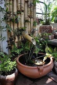 tipos de plantas 65 especies ornamentais exoticas e decorativas cachoeiras de quintal lagoas de quintal fontes de agua ao ar livre