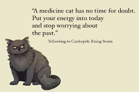 All The Times Warriors Taught Us Something Warrior Cats Quotes Warrior Cats Books Warrior Cats