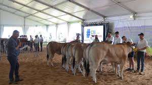 Photo Foire salon agricole et fte foraine : la Fte de La Madeleine ...