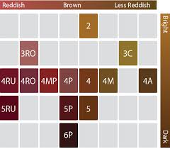 Cielo Hair Dye Color Chart Bedowntowndaytona Com