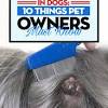 Their powerful noses can also detect viruses, bacteria, and signs of cancer in a person's body or bodily fluids. 1