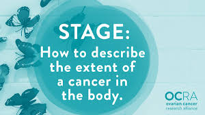 There are two substages, a and b: Yvuolkbmaz5hgm