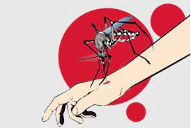 Orang yang membuat gambar kartun ini adalah kartunis, pada awalnya kartunis. Nyamuk Aedes Aegypti Serang 119 Warga Blora
