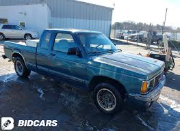 Image result for Tan 1991 Sonoma