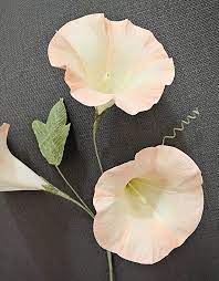 This Item Is Unavailable Etsy Paper Flowers Paper Flower Tutorial Crepe Paper