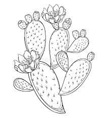 The prickly pear cactus was designated the official plant symbol of texas in 1995; Vector Branch Of Outline Indian Fig Opuntia Or Prickly Pear Cactus Fruit Flower And Spiny Stem In Black Isol Prickly Pear Cactus Cactus Tattoo Cactus Outline