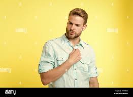 Man looks attractive casual linen blue shirt. Guy bristle undress casual  shirt. Fashion concept. Man calm serious face confidently unbuttoning  shirts collar, yellow background. Take off my clothes Stock Photo