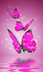 Maybe you would like to learn more about one of these? Pink Butterflies Wallpapers Top Free Pink Butterflies Backgrounds Wallpaperaccess