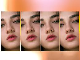 Black Nose Ring Hoop 16G Hinged Nose Rings Hoop Surgical Steel Body  Piercing Jewelry For Women Men Black 5pcs Black Nose Stud