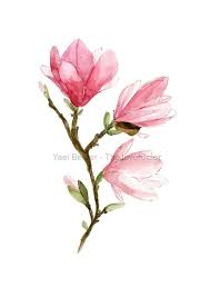Magnolia 2 Painting Magnolia Watercolor Painting Floral Art Etsy Floral Art Floral Painting Floral Watercolor