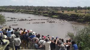 Qual è la differenza fra tanzania e kenya? Tanzania Vs Kenya A Point By Point Comparison Of The Top 2 Safari Destinations