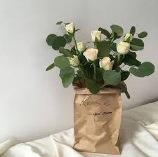 Experience the comfort of pure green natural latex foam! R O S I E Green Aesthetic Flower Aesthetic Mint Green Aesthetic