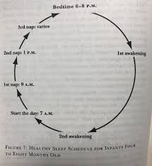Dr Marc Weissbluth Healthy Baby Sleep Chart Months 4 8