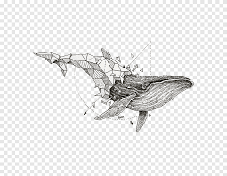 Whale jumping out of water clipart. Whale Jumping Out Of Water Whale Out Of Water Png Pngegg