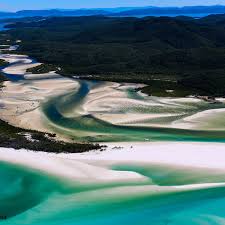 Image result for Queenslandiella