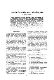 Image result for Alectra orobanchoides