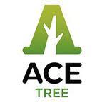We did not find results for: Ace Tree Management Kilsyth Vic 3137 Hipages Com Au
