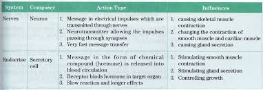 Human Endocrine System New Science Biology