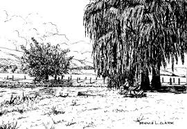 Maybe you would like to learn more about one of these? How To Draw A Willow Tree Landscape In Pen And Ink
