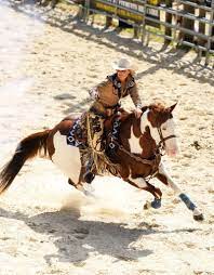With the addition of the liars and cheats dlc pack for redemption. Blazing The Trail Kenda Lenseigne Horses Cowgirl Pictures Cowboy Horse
