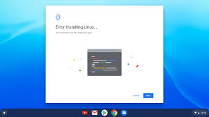 Error Installing Linux Files That S The Error I Get While Installing Linux Beta Chromebook Community