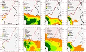 Image result for Adenodolichos rhomboideus