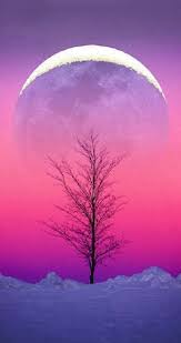 Hot pink aesthetic requested by anonymous. Hot Pink Aesthetic Wiki Aesthetics Amino
