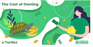 Eastern box turtles exceeding a hundred years of age have been encountered in the wild. The Cost Of Owning A Turtle In 2021 We Re All About Pets