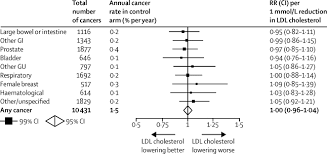 Interpretation Of The Evidence For The Efficacy And Safety