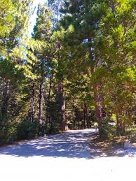 Maybe you would like to learn more about one of these? Https Www Campgroundreviews Com Regions California Rimforest San Bernardino Natl Forest Dogwood Campground 6980