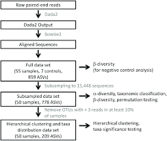 Data Processing Flow Chart Dna Sequences Were Processed