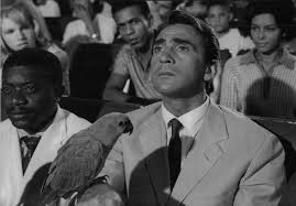 Walter Chiari, l'omaggio di Andria a cento anni dalla nascita